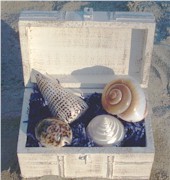 box-01.jpg (12452 bytes)